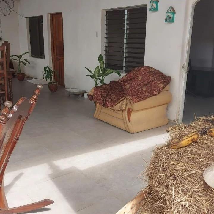 Hostal Brisas Del Ometepe ริวาส ภายนอก รูปภาพ